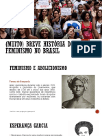 (Muito) Breve Historia Do Feminismo No Brasil