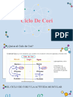 Ciclo de Cori