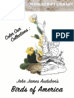 Audubon Coloring Book PDF
