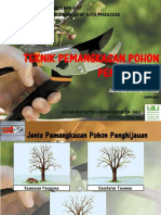 Teknik Pemangkasan Pohon Penghijauan