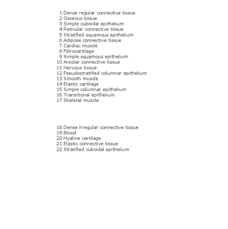 Histology Practice Exam Answers PDF PDF