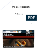 Stämme Des Tierreichs: Arthropoda