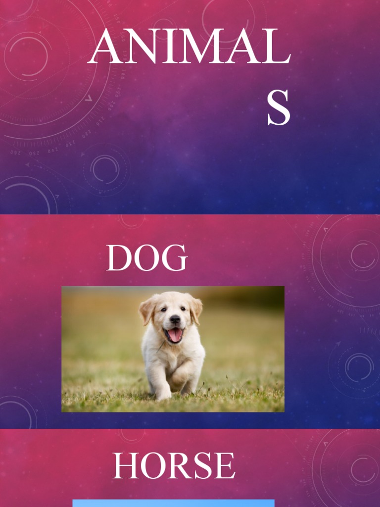 Animals | PDF