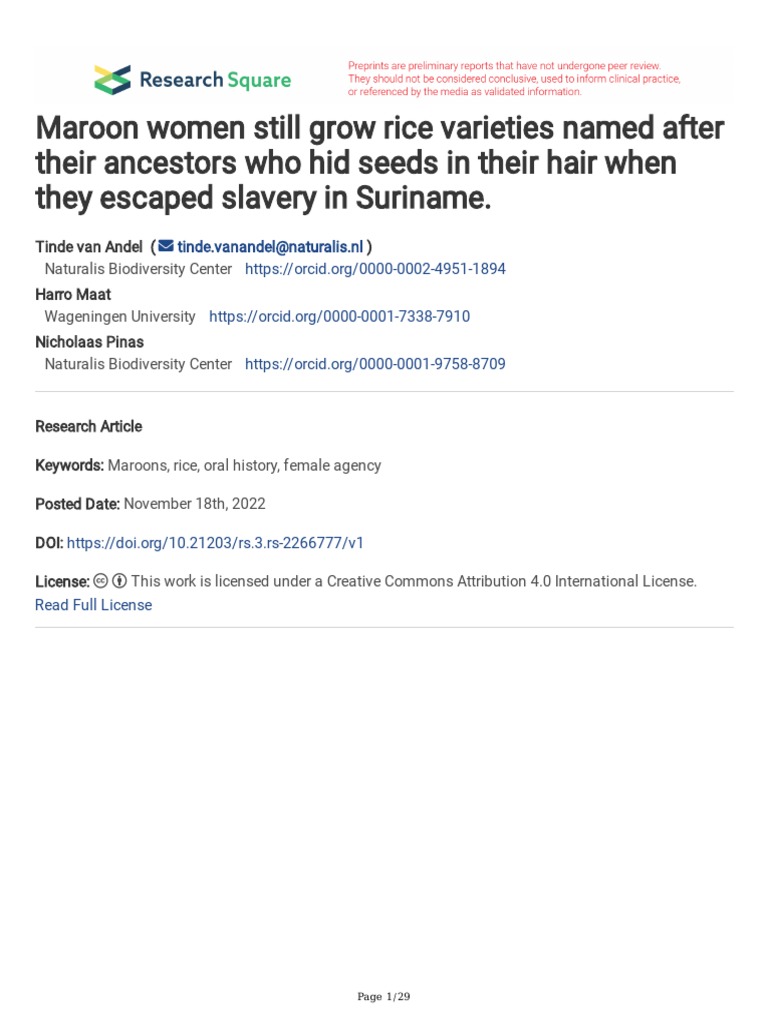 Maroon Women Still Grow Rice Varieties Named After Their Ancestors Who ...