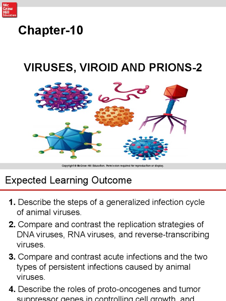 Chapter 13 Viruses, Viroids and prions2.pptx PDF Virus Reverse