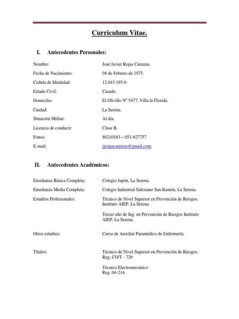 Curriculum vitae aiep 06 picture