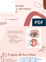 El Ojo: II Función Receptora y Nerviosa de La Retina: Capítulo 51