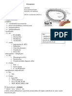 Aterogeneza Rezumat PDF