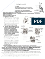 Cardiopatii Congenitale REZUMAT PDF