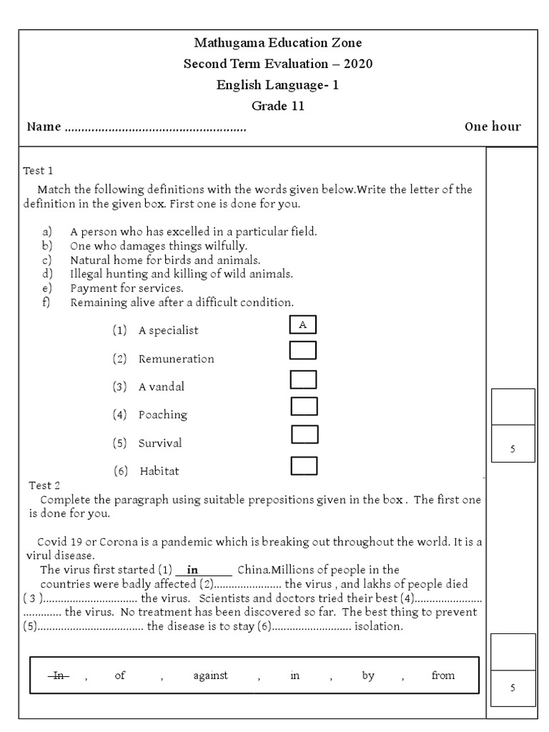 Grade 11 2020 Englsih Paper Mathugama Pdf Pdf Virus Pollution