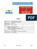 Annual Report (Dsba)
