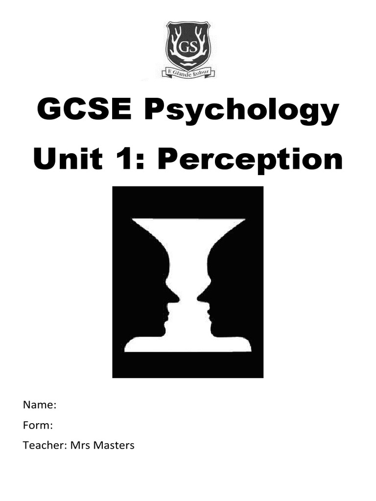 Perception Student Booklet Pdf Perception Visual System