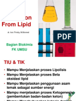 Lipid 3 Energy Production From Lipid 2023