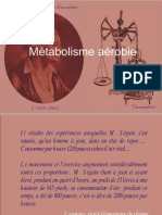 Métabolisme Aérobie