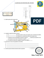 Practica Calificada de Industria Del Vestido