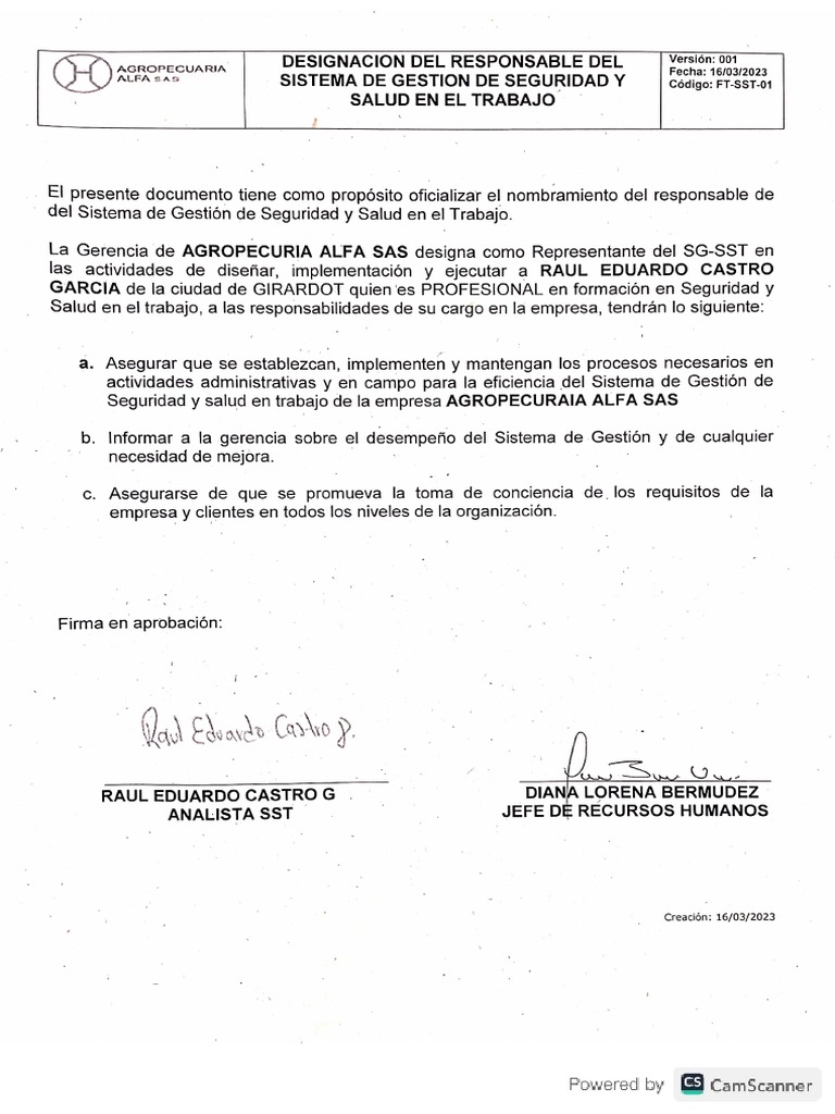 FT-SST-01 Designación Responsable Del SG-SST | PDF