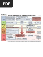 ACOG Postpartum Hemorrhage Protocol | PDF | Bleeding | Tissue (Biology)