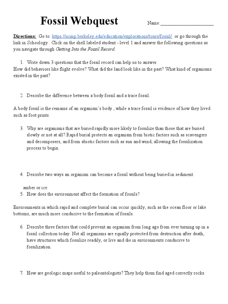 Fossil quest 2022 PDF Fossil Earth Sciences