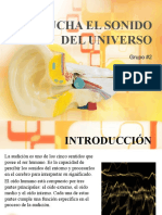 Cerebro Humano PDF
