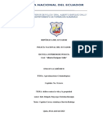 Ensayo Delitos Contra La Vida y El Patrimonio PDF