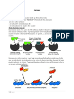 Note 10 Enzymes PDF