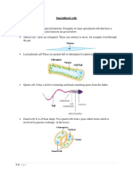 Note 7 Specialised Cells PDF