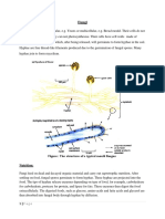 Note 5 Fungi PDF