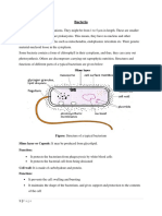 Note 4 Bacteria PDF