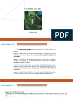 DKA 6 - Analisis dan Identifikasi Anion.pptx