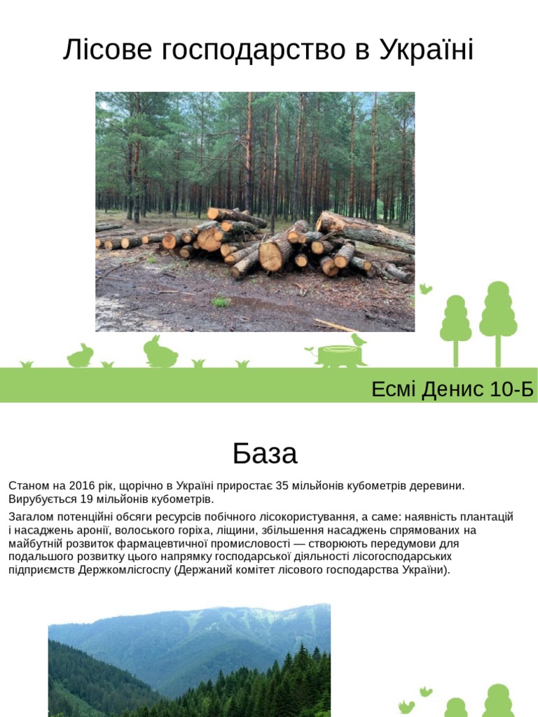 Ввв | PDF