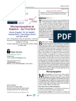 BIOTICABAMBOOTISSUE