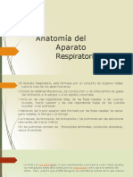 Anatomía del Aparato Respiratorio