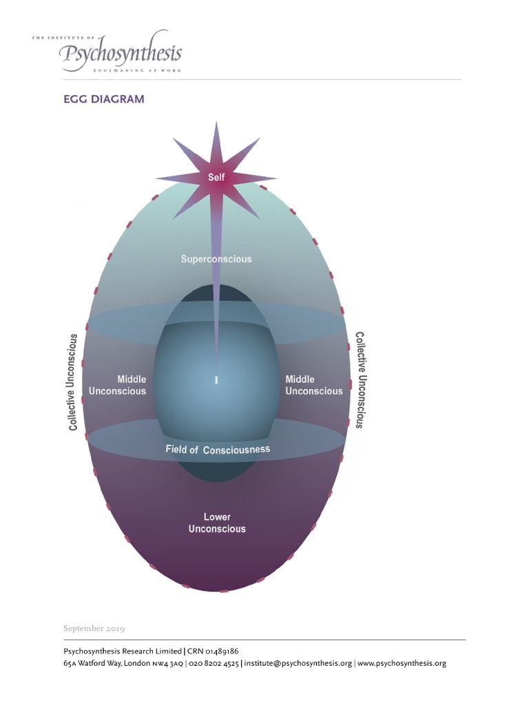 Egg Diagram | PDF