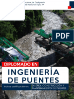 Dip. Ingeneria en Puentes