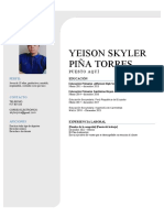 CV Yeison Skyler Piña Torres