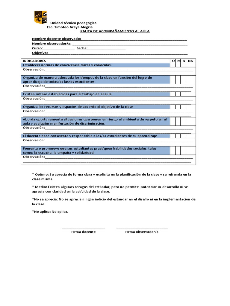 Pauta de Acompañamiento Al Aula | PDF | Salón de clases | Aprendizaje