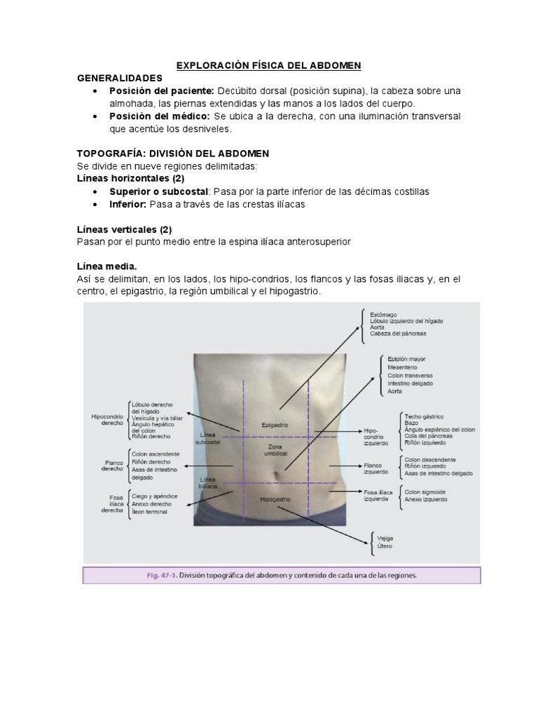 Exploración Física Del Abdomen | PDF | Abdomen | Hígado