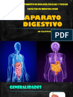 Sistema Digestivo PDF