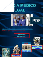 Pericia Médico Legal - Lesionología Básica