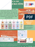 Green Orange Red Organic Food Gardening Process Infographic