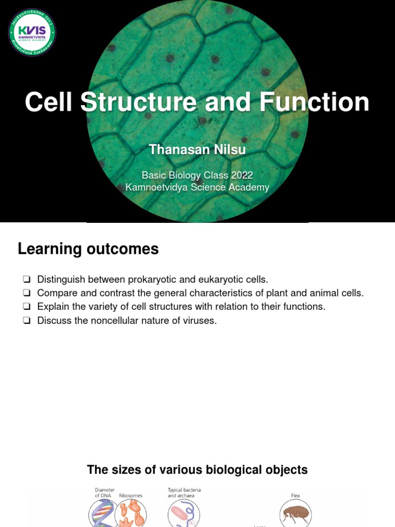 THE CELL STRUCTURE AND FUNCTION PDF visual data 4