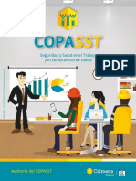 Conceptos Auditoria Copasst