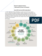 Internal Assignment Information System Nikita Sem 1