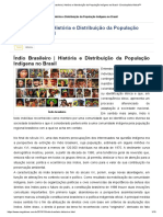 Índio Brasileiro - História e Distribuição Da População Indígena No Brasil - Enciclopédia Global™