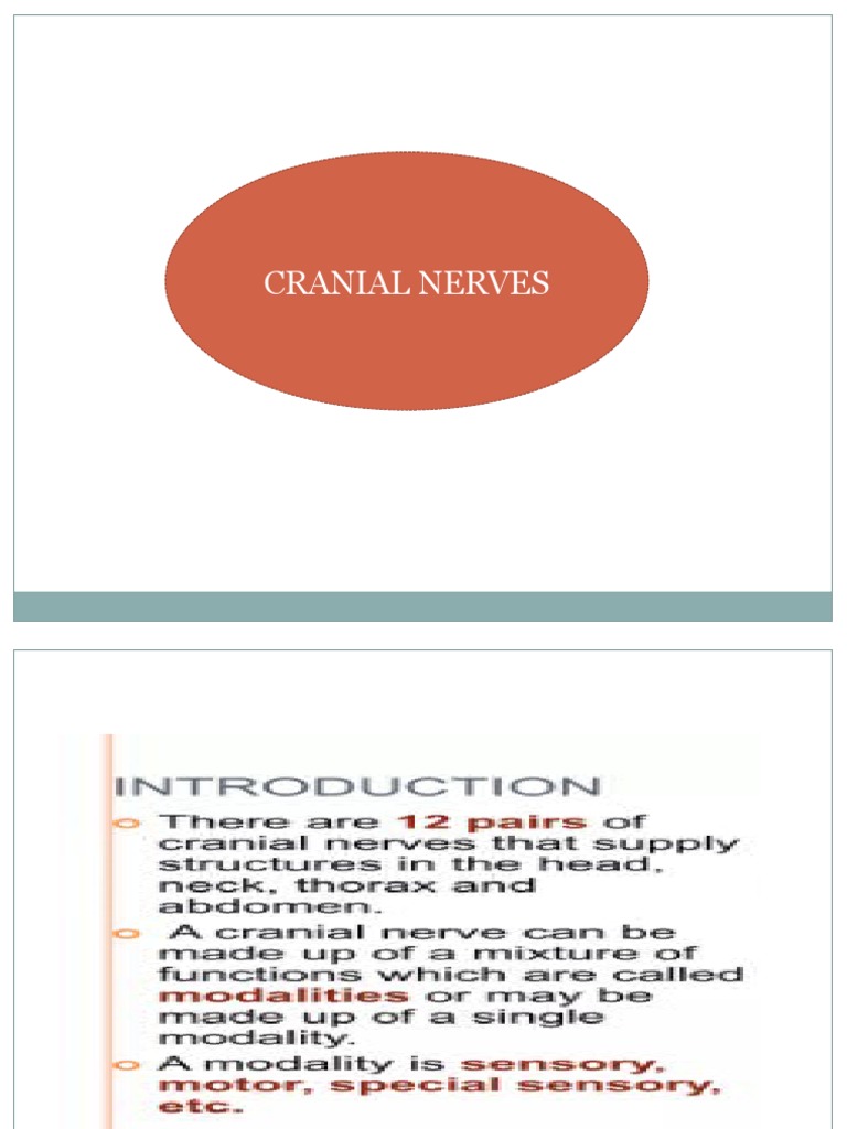 Overview of Cranial Nerves Functions | PDF | Science & Mathematics