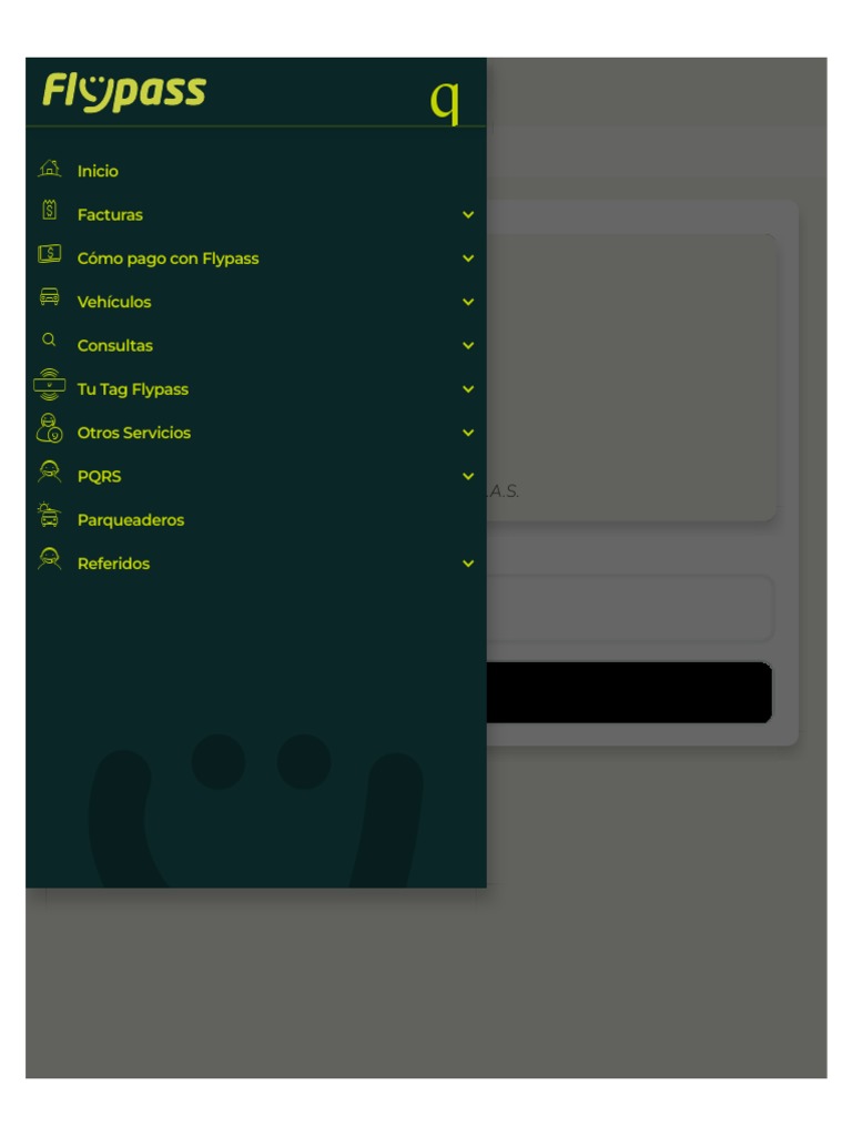 Flypass PDF | PDF