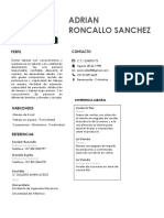 Hoja de Vida Adrian Roncallo 2 PDF