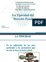 Tema5 Tipicidad