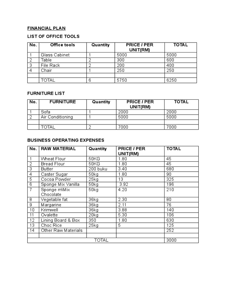 Financial Plan | PDF