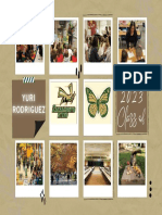 Post-Secondary Plan Photo Collage-2